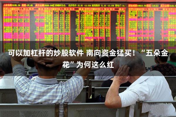 可以加杠杆的炒股软件 南向资金猛买！“五朵金花”为何这么红